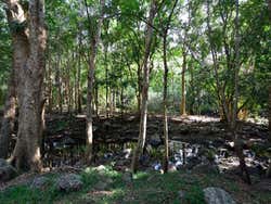 Parque Nacional Black River Gorges