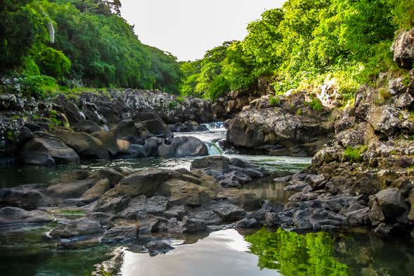 Trilha pelo Parque Nacional Gargantas do Rio Negro
