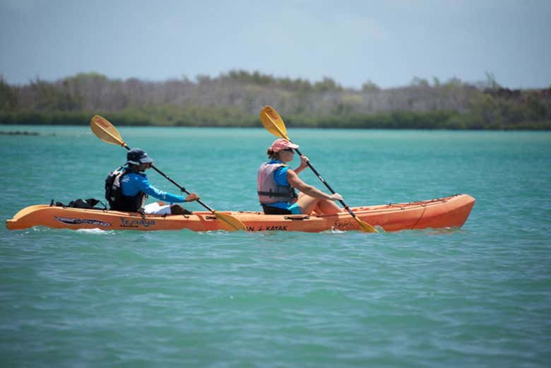 Navegando pela Ilha de Ambre